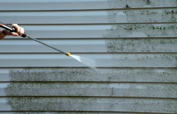 Best Roof Washing  in Egypt, AL